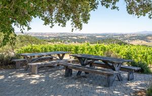 Private Vineyard Estate Retreat in Paso Robles Willow Creek District - Paso Robles, California