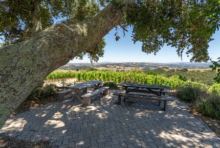 Private Vineyard Estate Retreat in Paso Robles Willow Creek District - Paso Robles, California