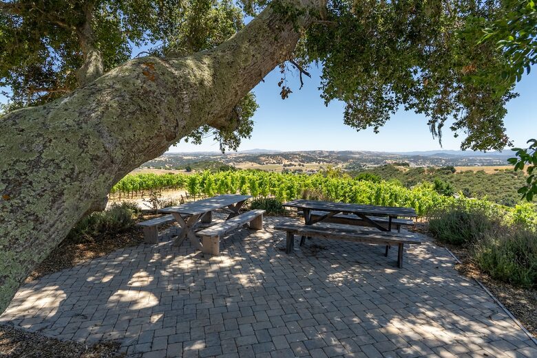 Private Vineyard Estate Retreat in Paso Robles Willow Creek District - Paso Robles, California