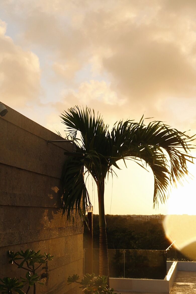 Rooftop Infinity Oasis Near Tulum Beach - Tulum, Mexico