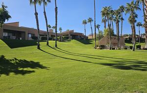View from the patio to the pool complex