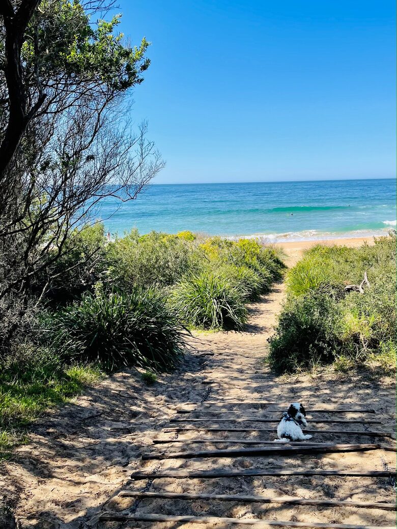 Absolute Bayfront Coastal Escape in Culburra Beach - Culburra Beach, Australia