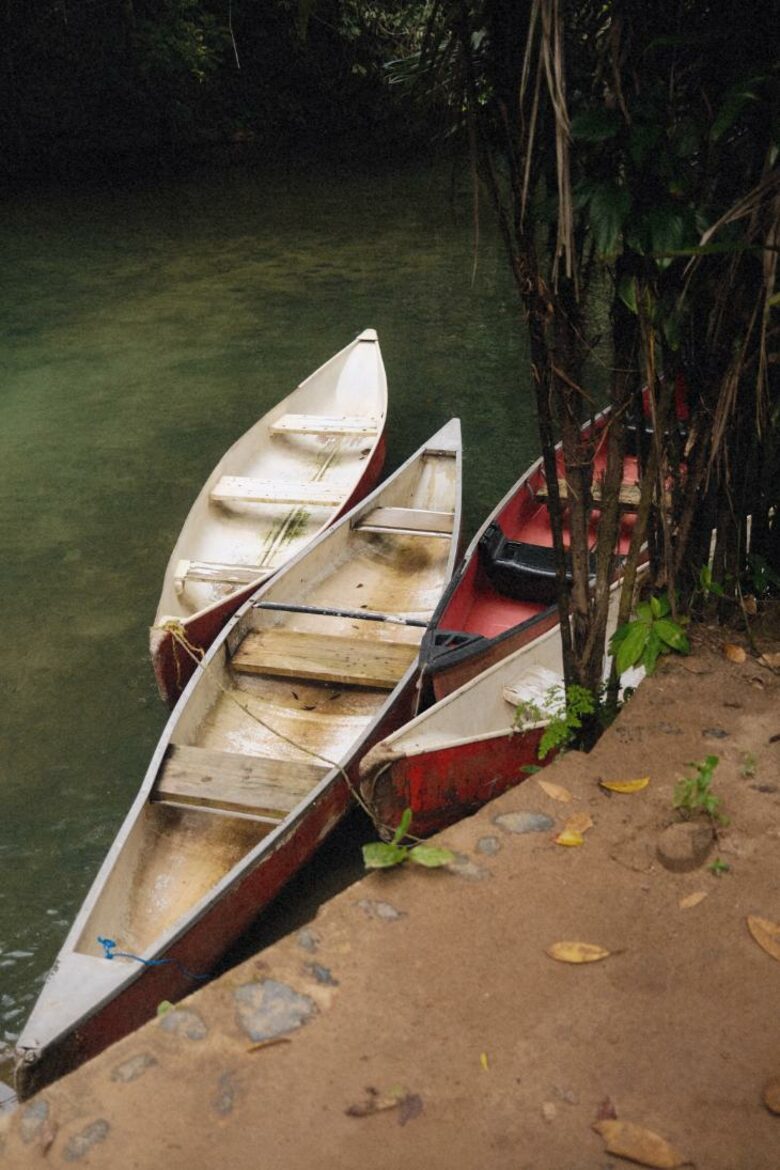 Jade Jungle Resort | All-Inclusive Eco-Luxury Resort on 300-Acre Private Reserve | Teakettle, Belize - Teakettle, Belize