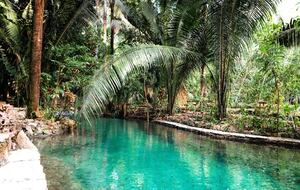 Jade Jungle Resort | All-Inclusive Eco-Luxury Resort on 300-Acre Private Reserve | Teakettle, Belize