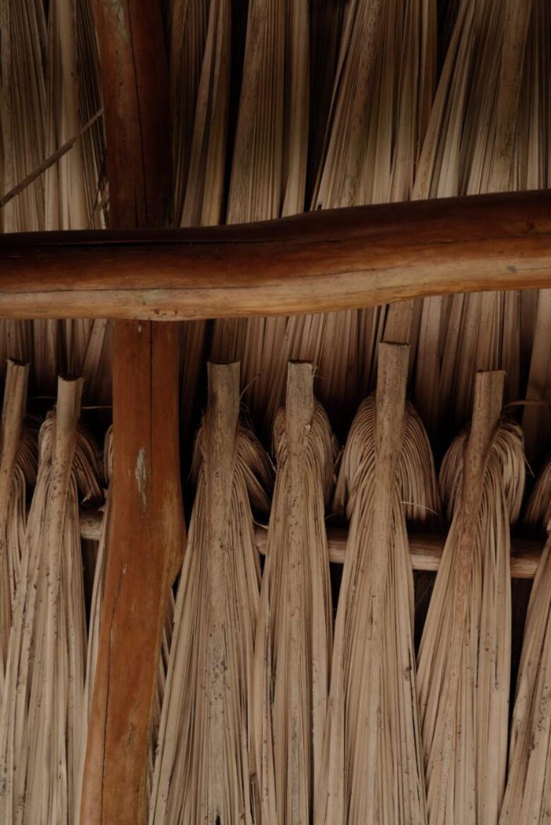 Jade Jungle Resort | All-Inclusive Eco-Luxury Resort on 300-Acre Private Reserve | Teakettle, Belize - Teakettle, Belize