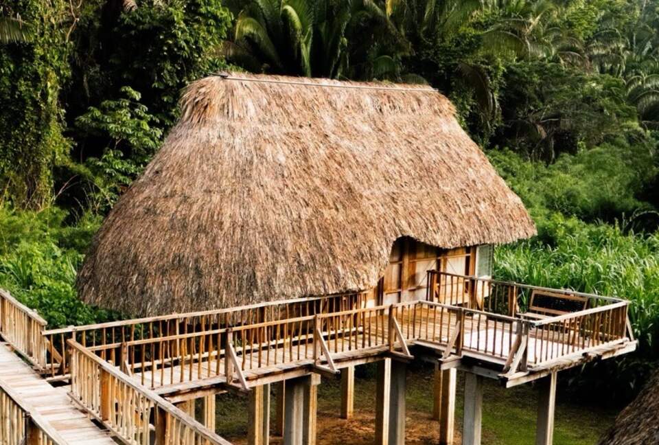 Jade Jungle Resort | All-Inclusive Eco-Luxury Resort on 300-Acre Private Reserve | Teakettle, Belize - Teakettle, Belize
