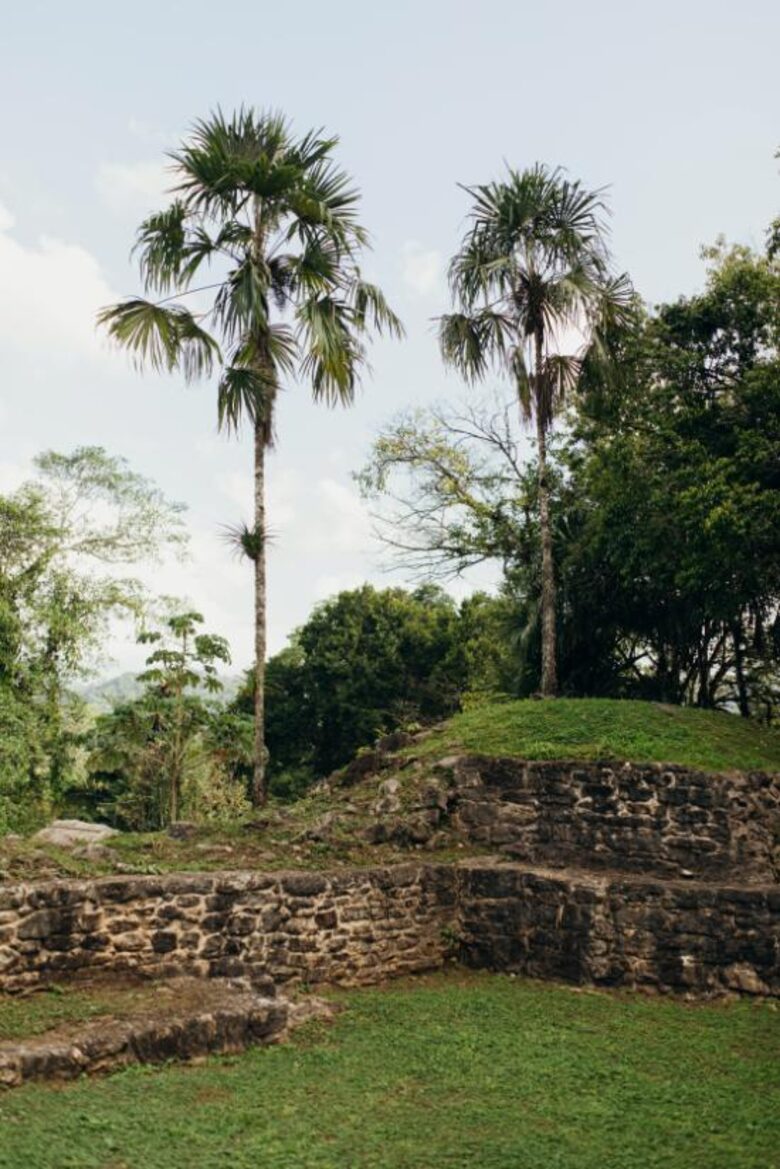 Jade Jungle Resort | All-Inclusive Eco-Luxury Resort on 300-Acre Private Reserve | Teakettle, Belize - Teakettle, Belize