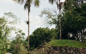Jade Jungle Resort | All-Inclusive Eco-Luxury Resort on 300-Acre Private Reserve | Teakettle, Belize