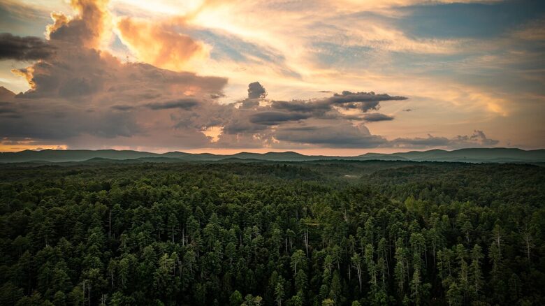 Modern Mountain Retreat on Mountaintown Creek - Ellijay, Georgia