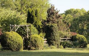 Soulful Delaplane Retreat on 44 Private Acres - Delaplane, Virginia