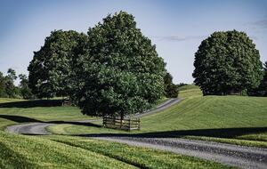 Soulful Delaplane Retreat on 44 Private Acres - Delaplane, Virginia