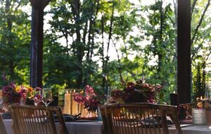 Soulful Delaplane Retreat on 44 Private Acres - Delaplane, Virginia