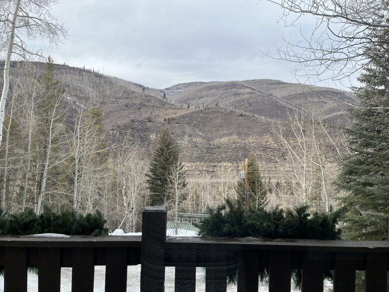 Alpine Timber Retreat in West Vail - Vail, Colorado