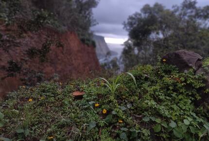 Kona Ocean & Golf View Retreat | Walk to Keauhou Bay - Kailua-Kona, Hawaii