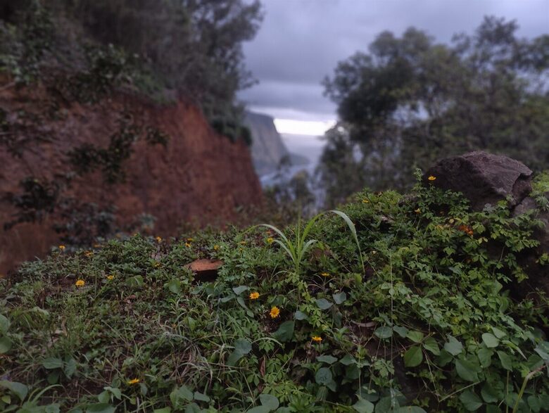 Kona Ocean & Golf View Retreat | Walk to Keauhou Bay - Kailua-Kona, Hawaii