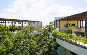 La Veleta Jungle Escape with Rooftop Views - Tulum, Mexico