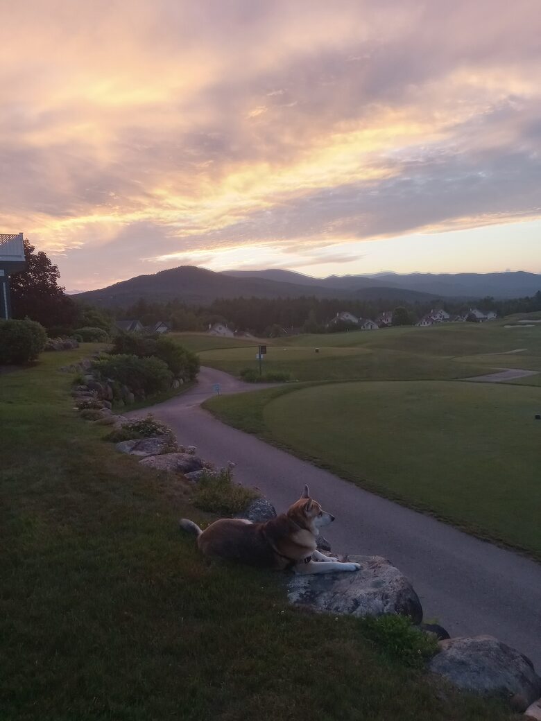 On the 18th Tee at Owl’s Nest | White Mountain Horizon - Campton, New Hampshire