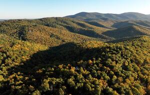 Afton Mountain Retreat with Hot Tub & Views - Afton, Virginia