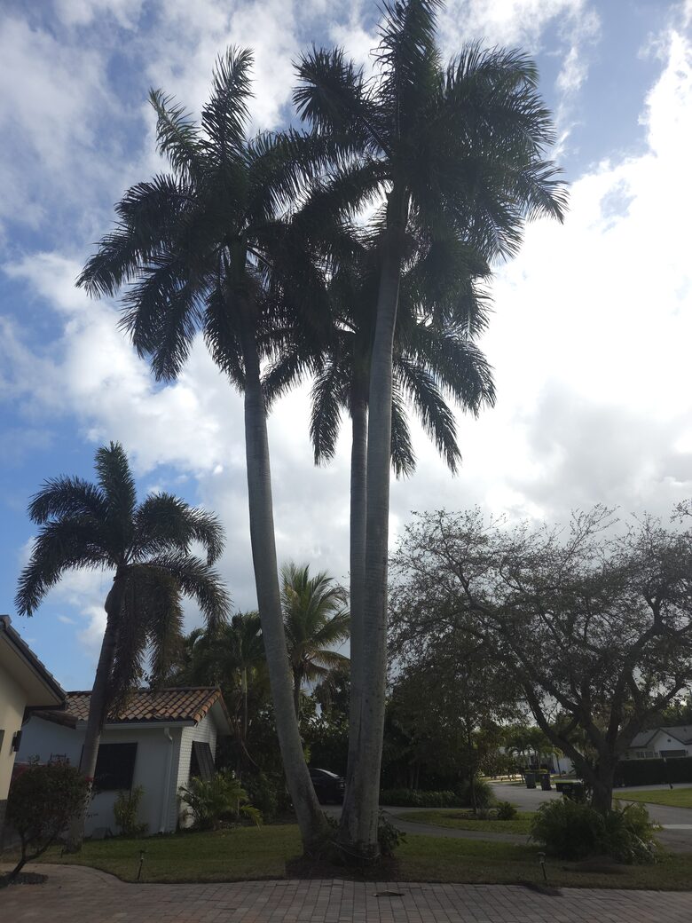 Bright & Airy Boca Retreat Near the Ocean - Boca Raton, Florida