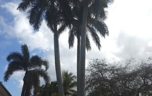 Bright & Airy Boca Retreat Near the Ocean - Boca Raton, Florida