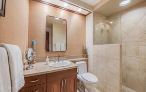 Oceanview Serenity at Mauna Lani Point - Kamuela, Hawaii