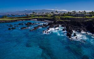 Oceanview Serenity at Mauna Lani Point - Kamuela, Hawaii