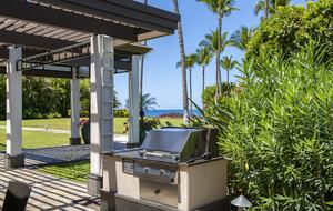 Oceanview Serenity at Mauna Lani Point - Kamuela, Hawaii