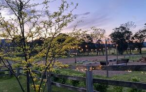 Hunter Valley Farmhouse Escape on 80 Acres - Congewai, Australia