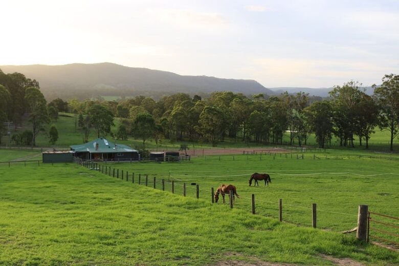 Hunter Valley Farmhouse Escape on 80 Acres - Congewai, Australia