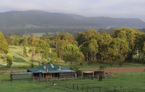 Hunter Valley Farmhouse Escape on 80 Acres - Congewai, Australia