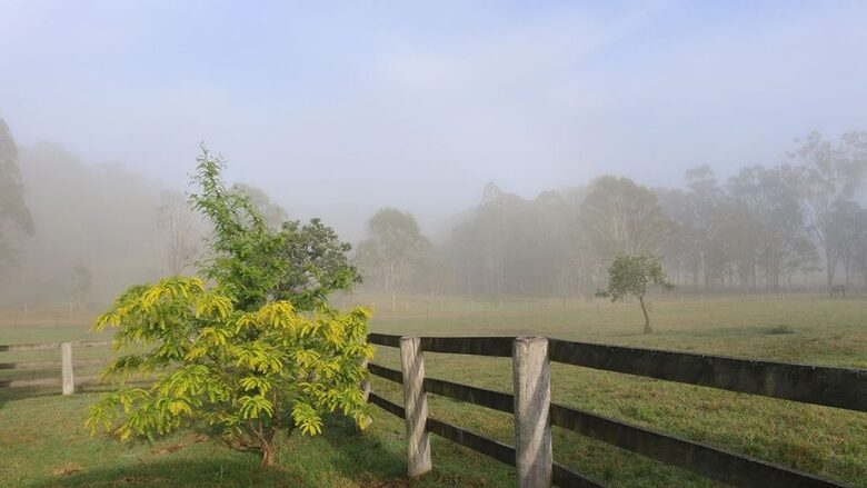Hunter Valley Farmhouse Escape on 80 Acres - Congewai, Australia
