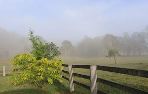 Hunter Valley Farmhouse Escape on 80 Acres - Congewai, Australia