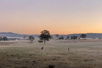 Hunter Valley Farmhouse Escape on 80 Acres - Congewai, Australia