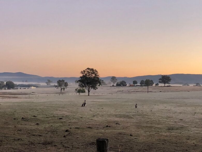 Hunter Valley Farmhouse Escape on 80 Acres - Congewai, Australia