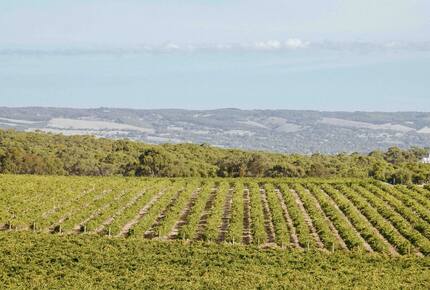 Miravino Vineyard Retreat with Sauna & Spa - McLaren Vale, Australia