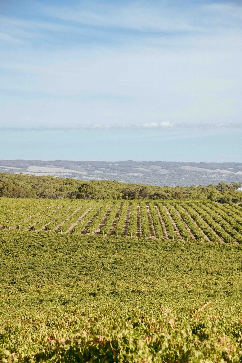 Miravino Vineyard Retreat with Sauna & Spa - McLaren Vale, Australia