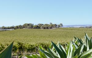 Miravino Vineyard Retreat with Sauna & Spa - McLaren Vale, Australia