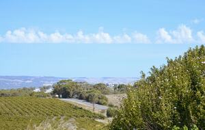 Miravino Vineyard Retreat with Sauna & Spa - McLaren Vale, Australia