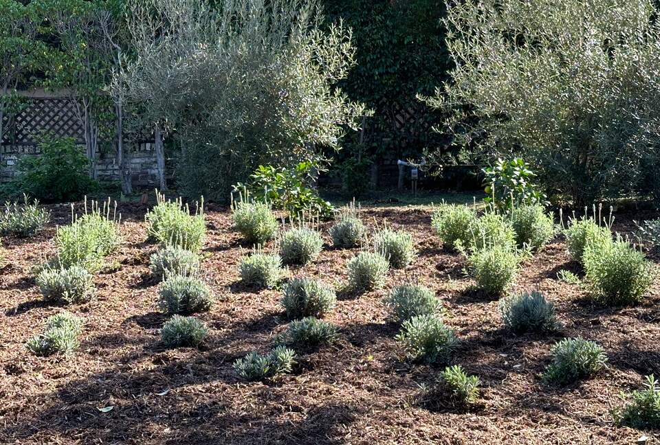 Historic 1913 Craftsman Guesthouse Near Beverly Hills Hotel - Beverly Hills, California