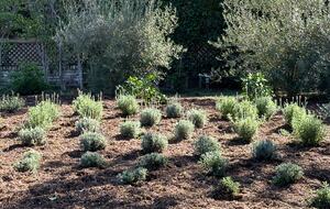 Historic 1913 Craftsman Guesthouse Near Beverly Hills Hotel - Beverly Hills, California