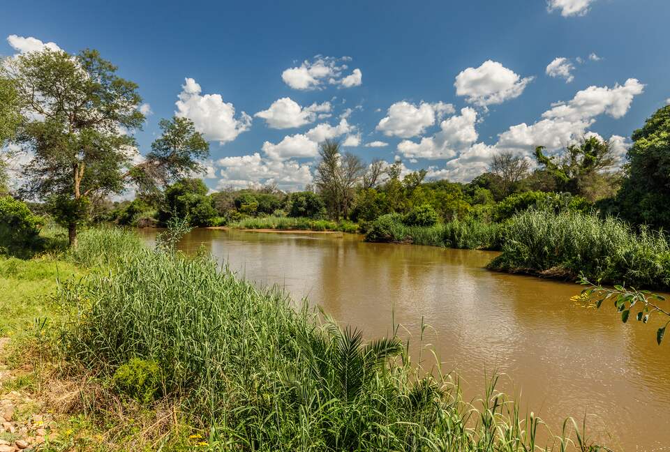 Tapologo River Lodge - Tsetsebjwe, Botswana