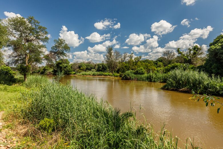 Tapologo River Lodge - Tsetsebjwe, Botswana