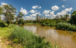 Tapologo River Lodge - Tsetsebjwe, Botswana
