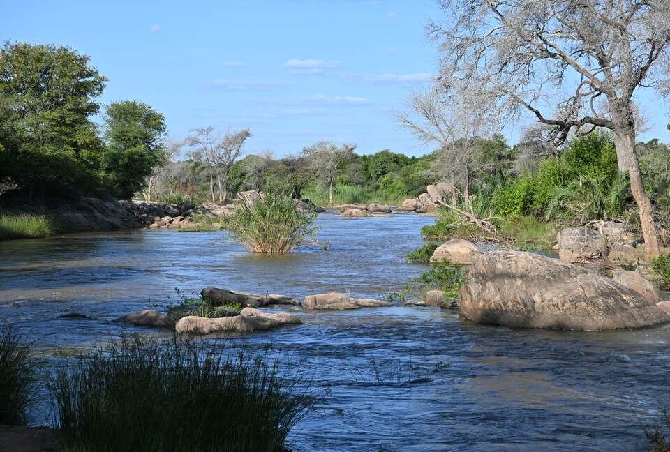 Tapologo River Lodge - Tsetsebjwe, Botswana