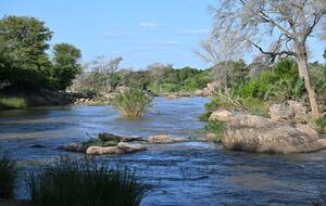 Tapologo River Lodge - Tsetsebjwe, Botswana