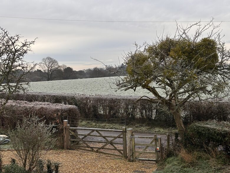 A Refined New Forest Cottage with Orchard and Shepherd’s Hut - Lyndhurst, United Kingdom