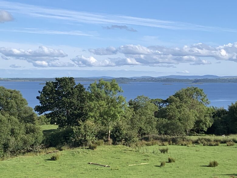 View from living room