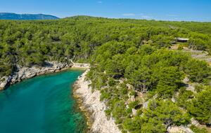 Nid Caché - Glass Tree House with private beach - Vrboska, Croatia