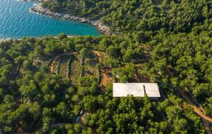 Nid Caché - Glass Tree House with private beach - Vrboska, Croatia