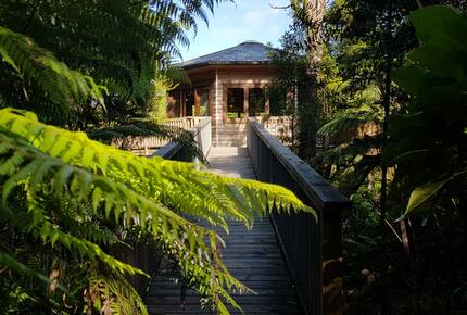Octagonal Forest Treehouse with Private Spring-Fed Hot Tub - Waiheke Island, New Zealand